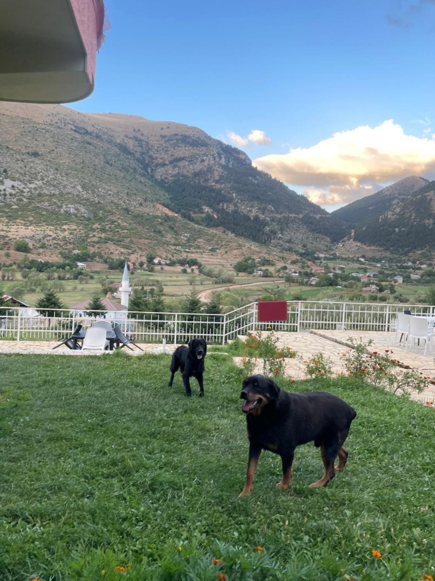 Lura Hotel Fushe-Lure Dış mekan fotoğraf